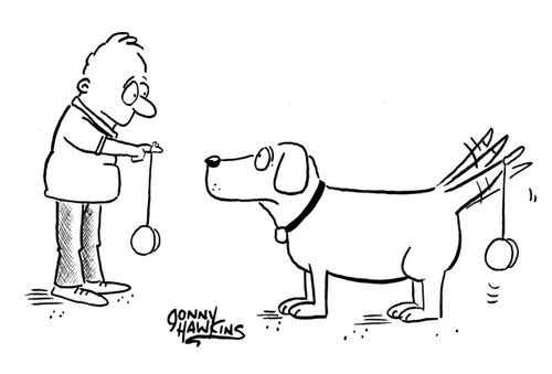 Boy playing yoyo with his dog.