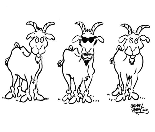Three Goats: two have regular goat beards, one in middle has goatee and sunglasses.