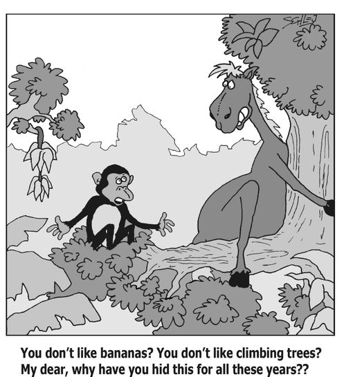 'You don't like bananas? You don't like climbing trees? My dear, why have you hid this for all these years??'