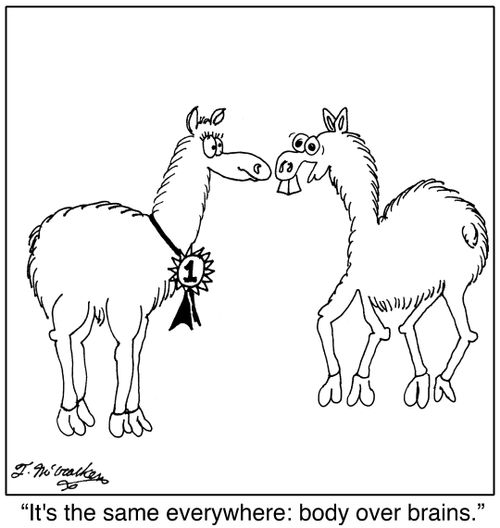 'It's the same everywhere: body over brains.'