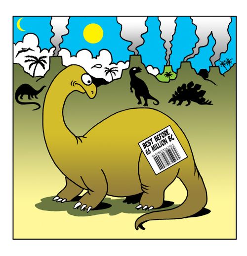Best before 65 million BC.