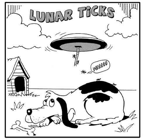 Lunar Ticks.