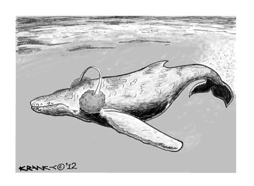 Whale Earmuffs