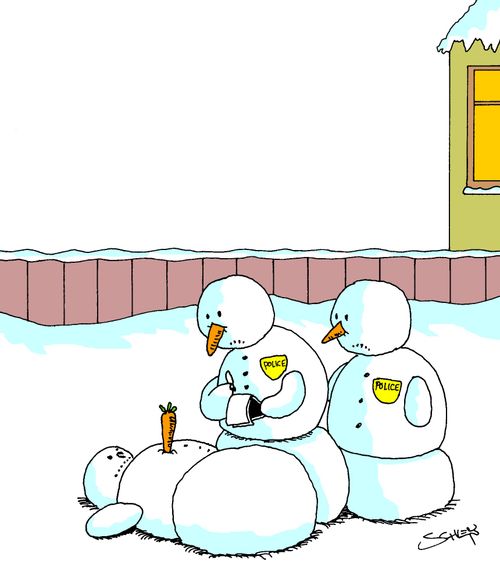 Snow Crime