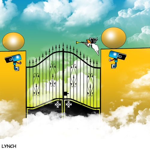 Heavenly security cameras
