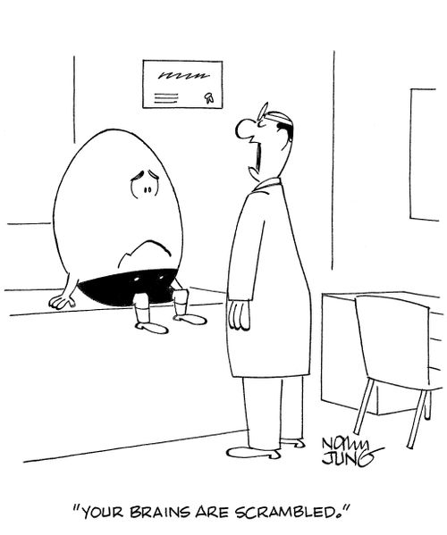 'Your brains are scrambled.'