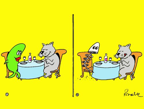 'Dinner.'