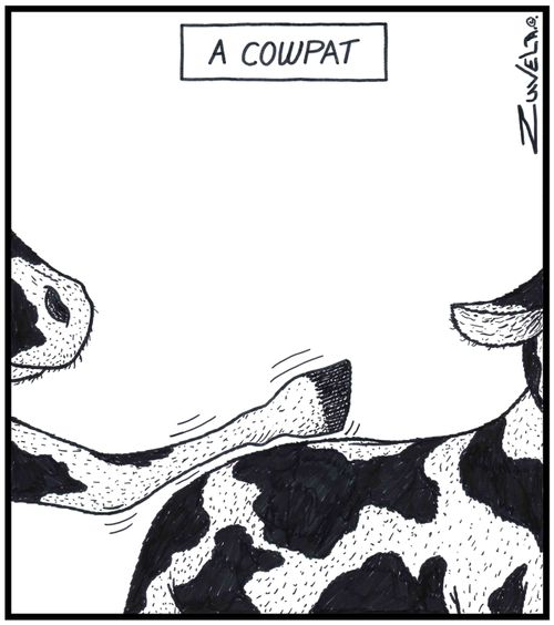 A Cowpat A cow patting another cow
