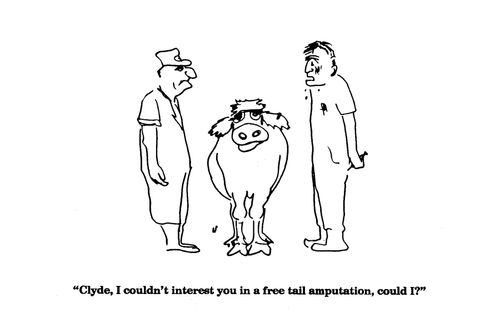 'Clyde, I couldn't interest you in a free tail amputation, could I?'