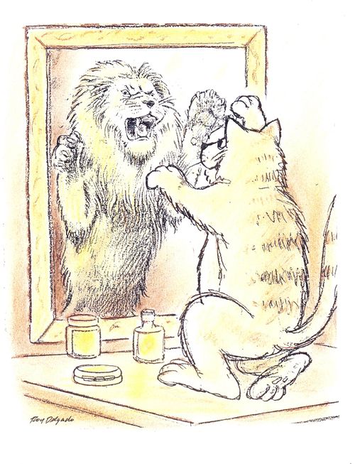 Cat with Lion reflection in mirror