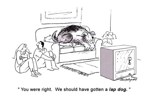 'You were right. We should have gotten a lap dog.'