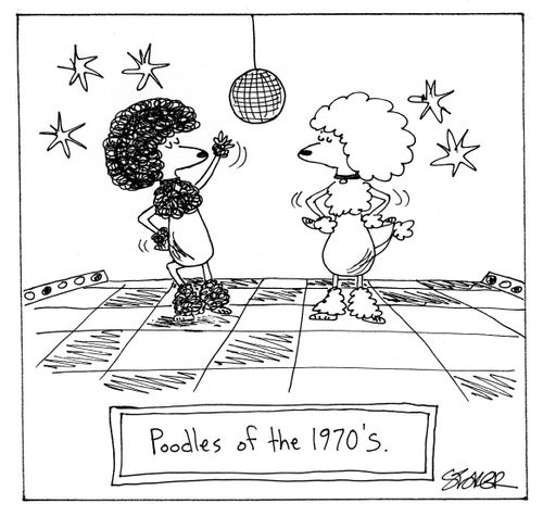 'Poodles of the 1970's.'