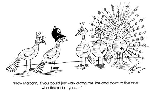 "Now madam, if you could just walk along the line and point to the one who flashed at you"