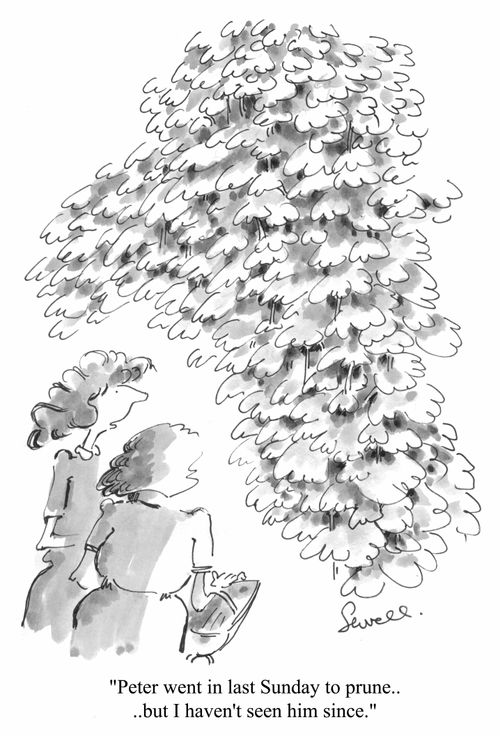 "Peter went in last Sunday to prune...but I haven't seen him since"