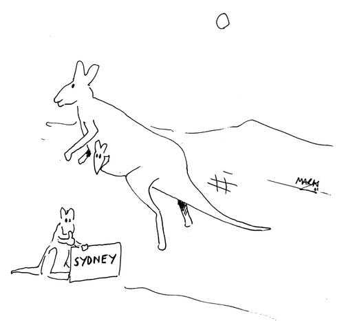 Kangeroo hitchhiker