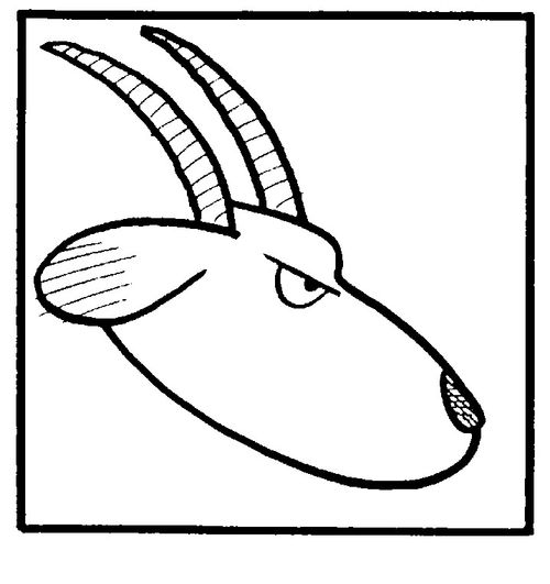 Capricorn/goat