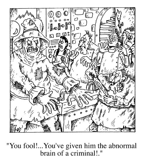 "You fool!...You've given him the abnormal brain of a criminal!"