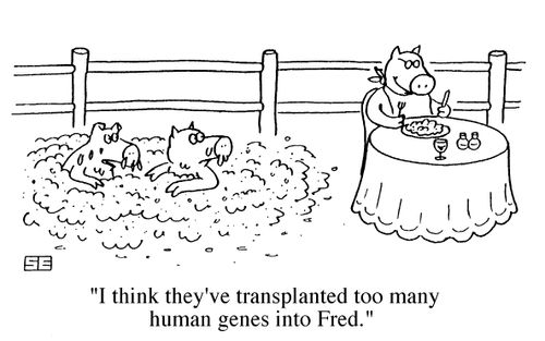 "I think they've transplanted too many human genes into Fred."