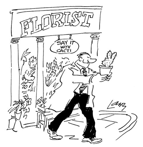Florist "Say it with cacti"