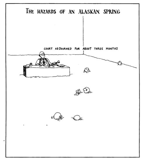 The hazards of an Alaskan spring - "Court adjurned for 3 months."