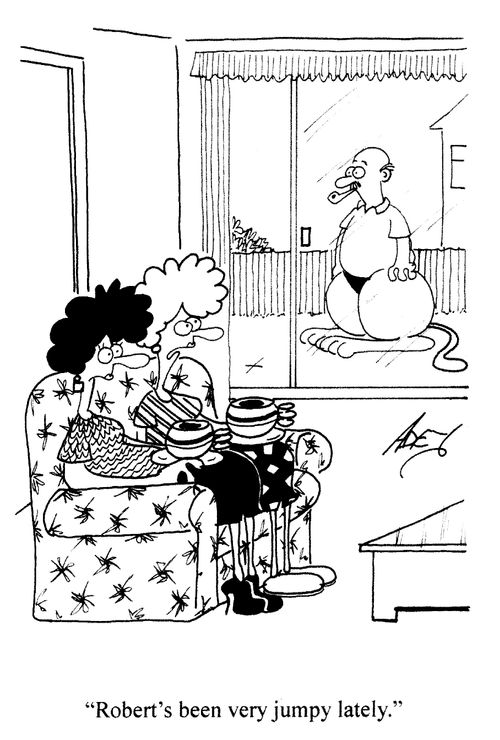 'Robert's been very jumpy lately.'