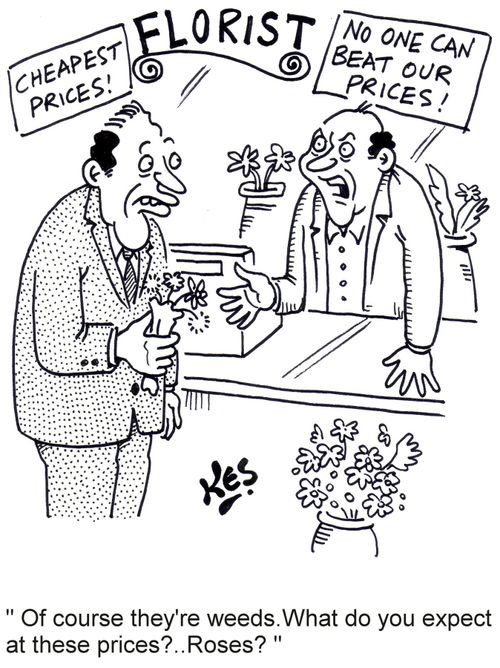 "Of course they're weeds.What do you expect at these prices?..Roses?"