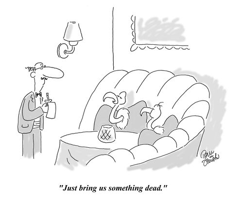 "Just bring us something dead."