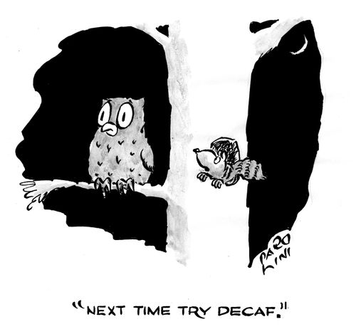 'Next time try decaf.'