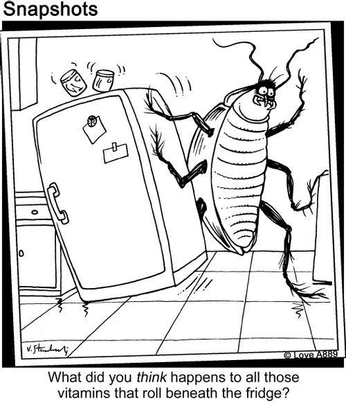What did you think happens to all those vitamins that roll beneath the fridge?