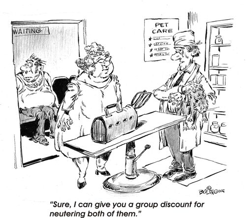"Sure, I can give you a group discount for neutering both of them."