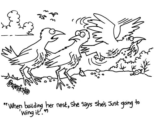 'When building her nest, she says she's just going to wing it.'
