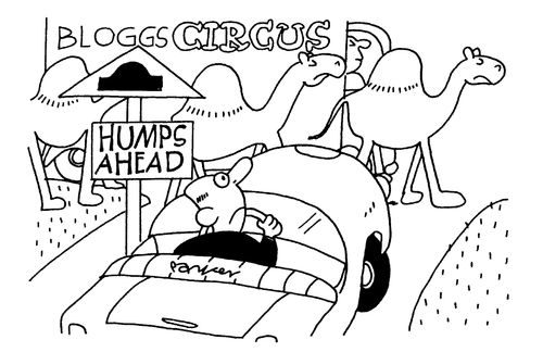 Humps ahead.