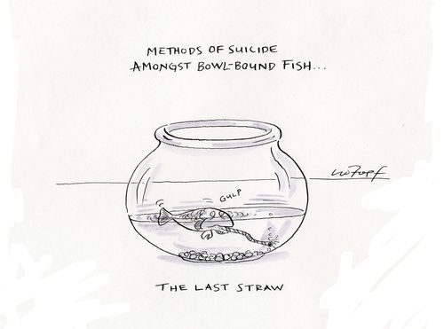 Methods of Suicide Amongst Bowl-Bound Fish...The Last Straw.
