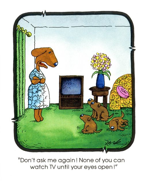 'Don't ask me again! None of you can watch tv until your eyes open!'