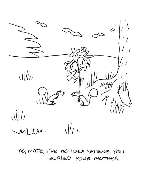 'No mate, I've no idea where you buried your mother.'