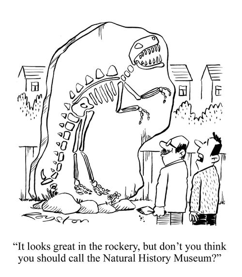 Man looks at huge dinosaur fossil in garden, saying: 'It looks great in the rockery, but don't you think you should call the Natural History Museum?'