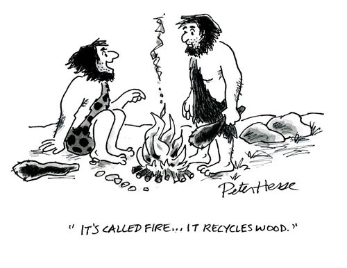 'It's called fire...it recycles wood.'