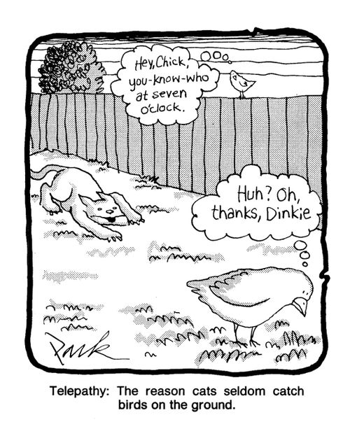 Telepathy: The reason cats seldom catch birds on the ground.