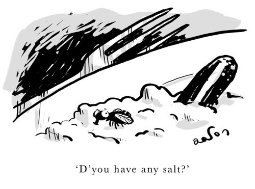 'D'you have any salt?'