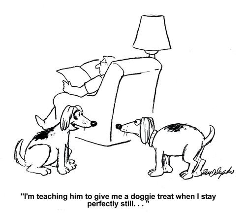 'I'm teaching him to give me a doggie treat when I stay perfectly still...'