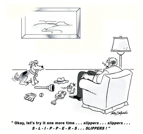 'Okay, let's try it one more time...slippers...slippers....'