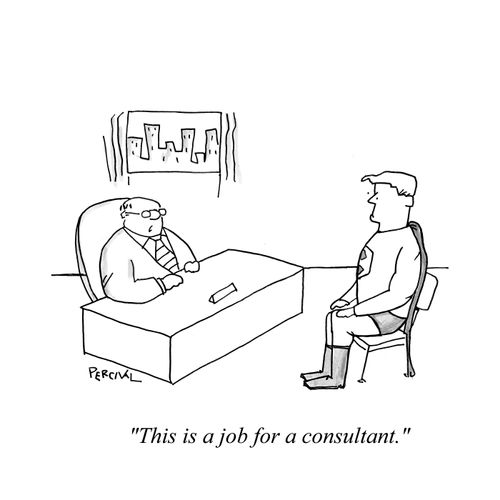 'This is a job for a consultant.'