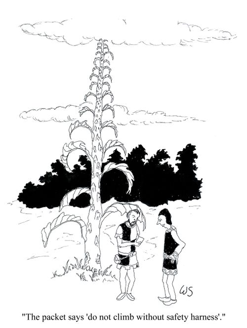 'The packet says 'do not climb without safety harness'.'