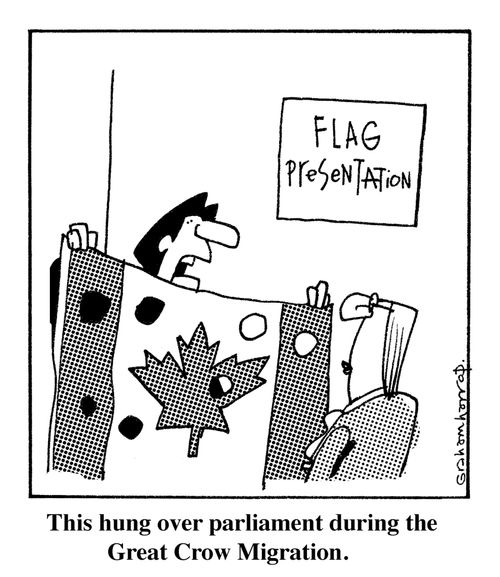 This hunger over parliament during the great crow migration.