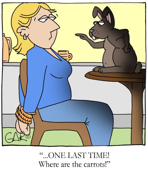 ONE LAST TIME! Where are the carrots!