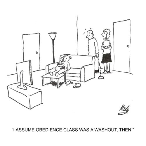 I assume obedience class was a washout then.