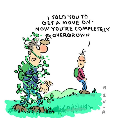 'I told you to get a move on, now you're completely overgrown.'