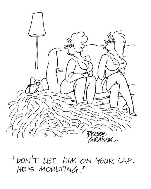 "Don't let him on your lap. He's moulting!"