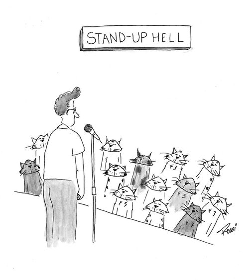 Comedian must perform for unimpressed cats in 'stand up hell'.