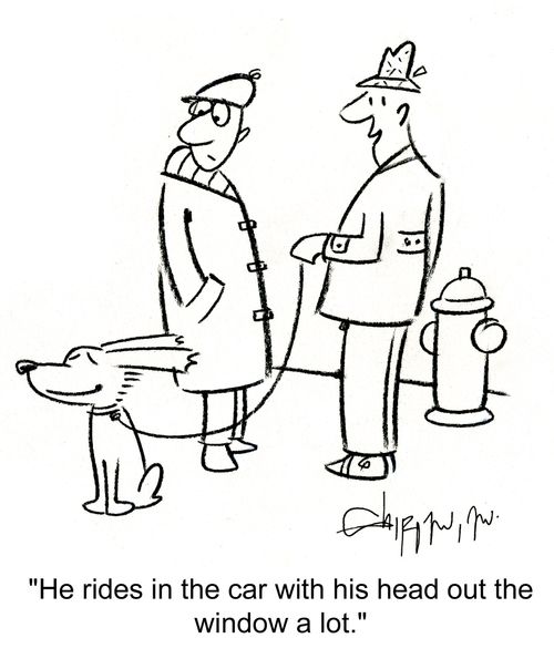 'He rides in the car with his head out the window a lot.'
